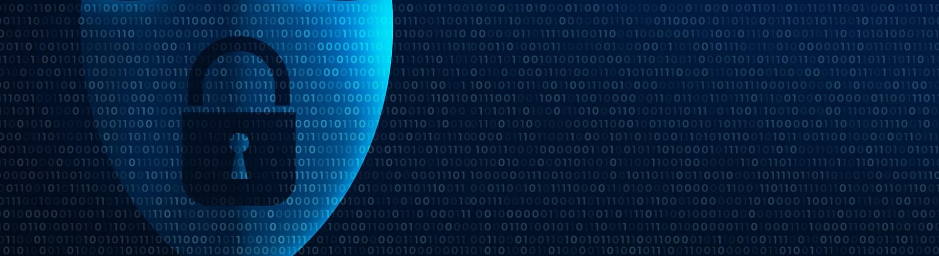 Encryption_and_Tokenization